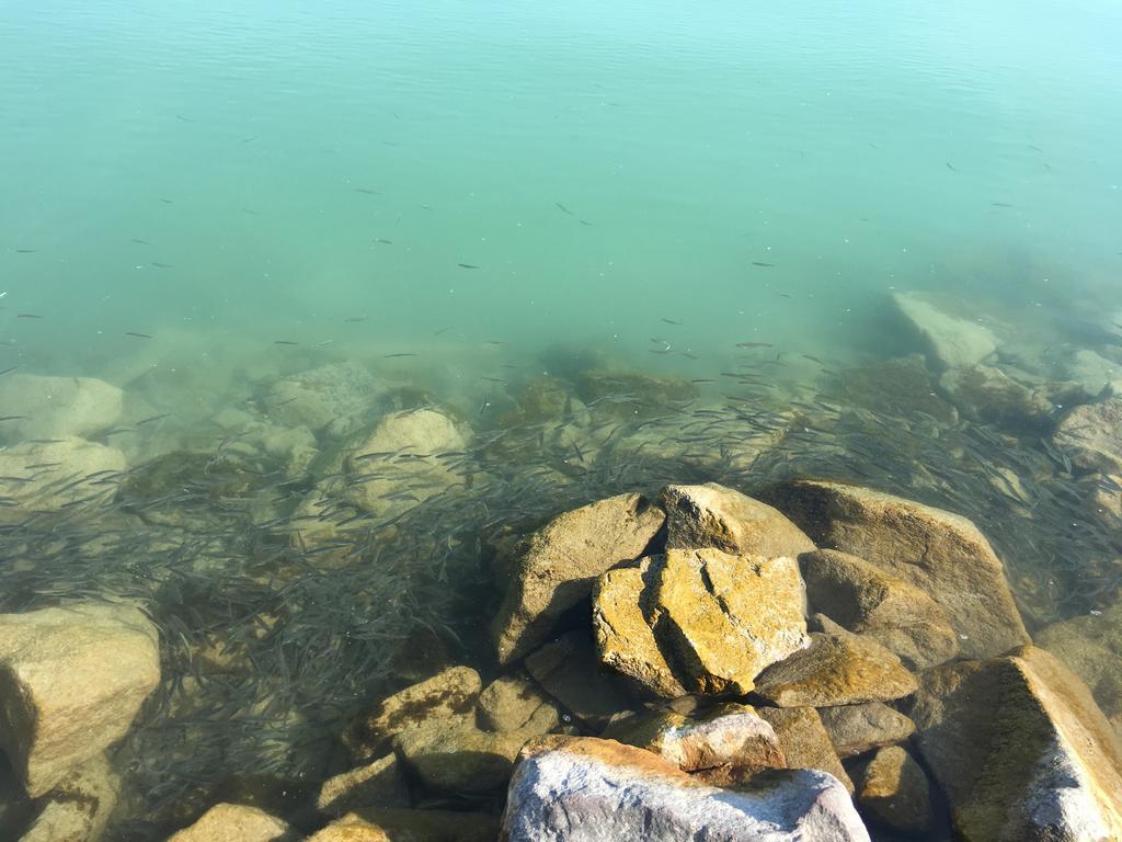 Cuki Apartmanok Siófok Esterno foto